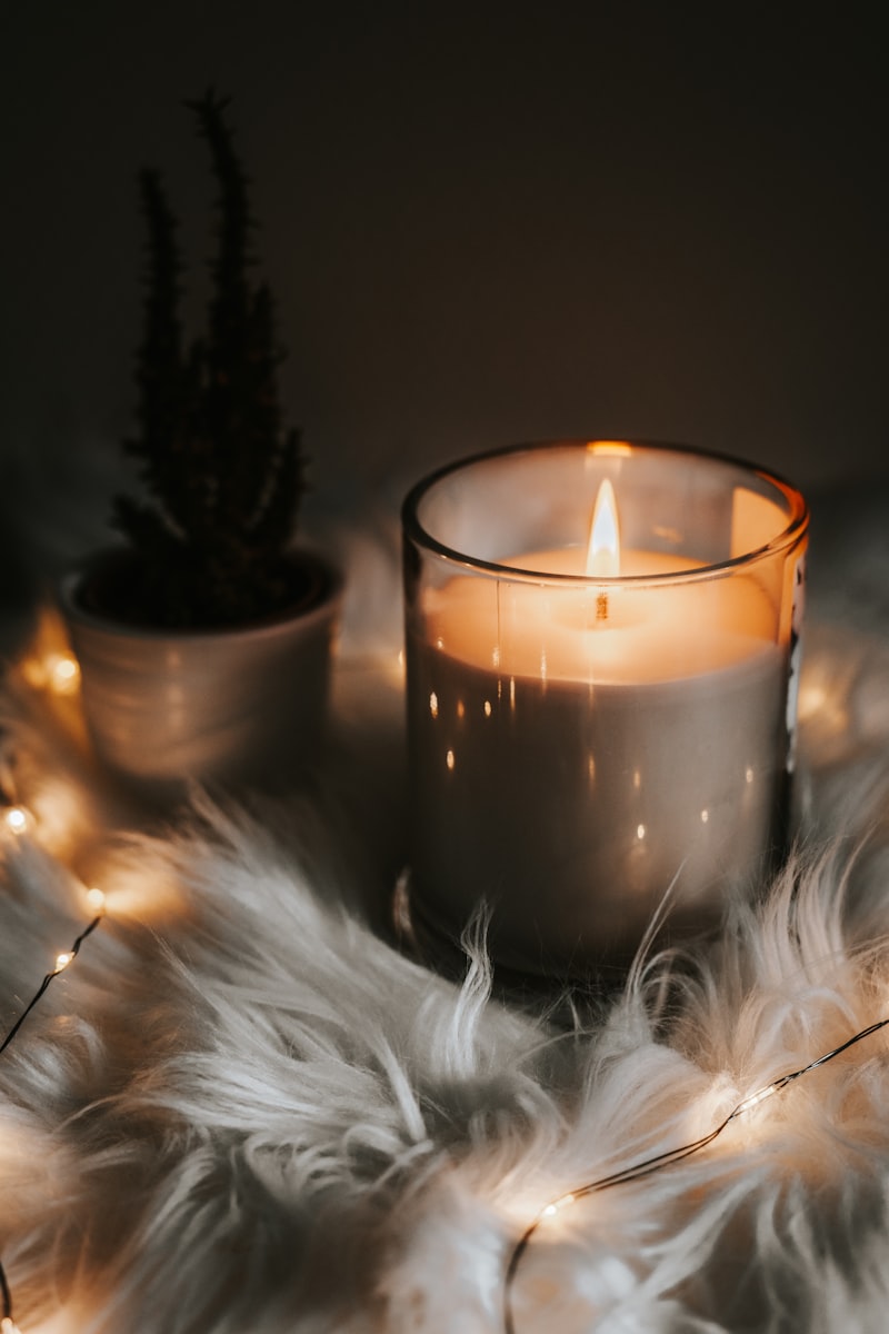 Organic Botanical Soy Candle - Cedar & Eucalyptus